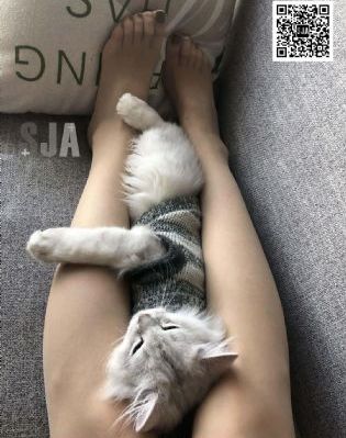 国产大学生高清视频_国产剧免费观看