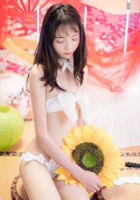 又黄又硬的a片免费_BD国语电影完整版在线观看
